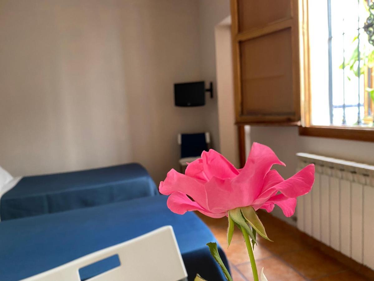 מאלגה Hostal Moscatel מראה חיצוני תמונה